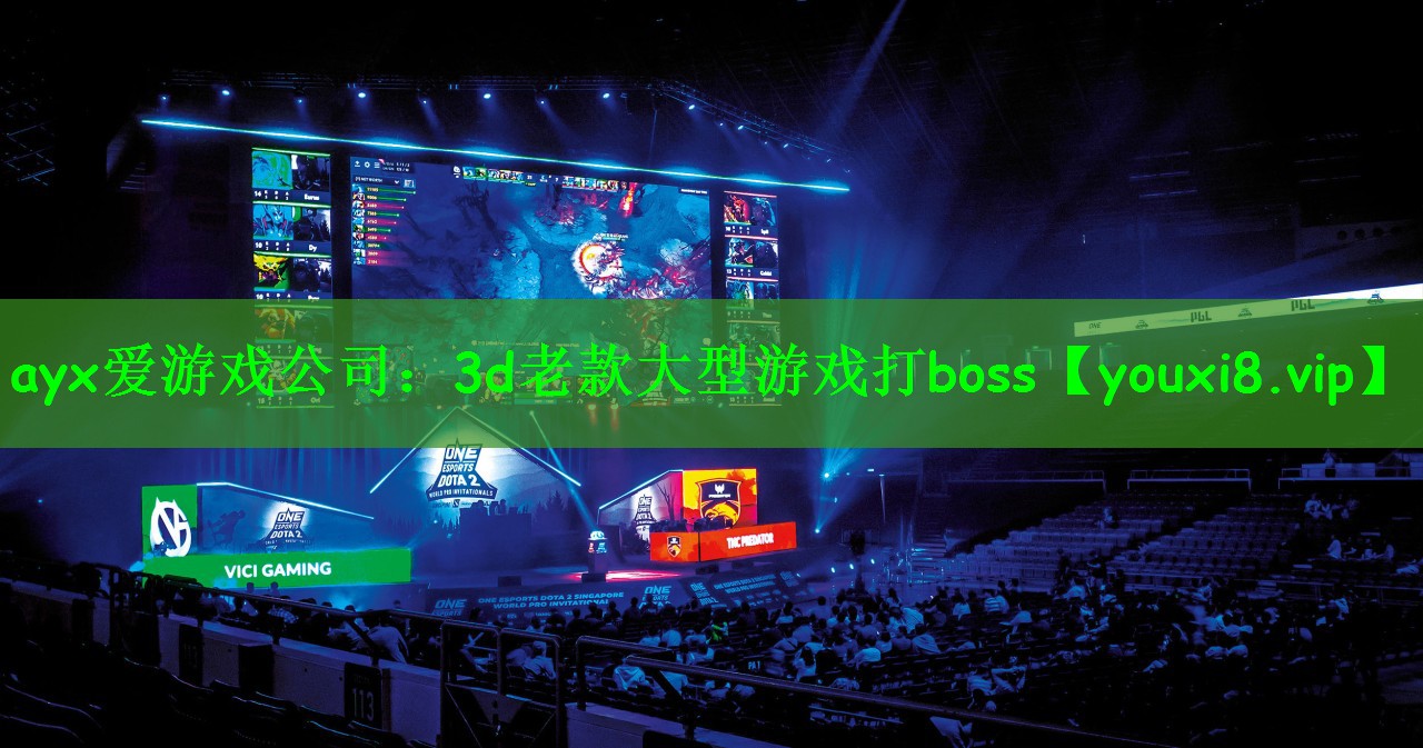 3d老款大型游戏打boss